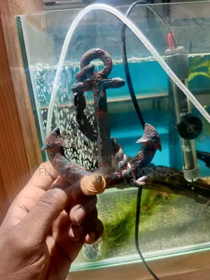Aquarium Anchor Ornament