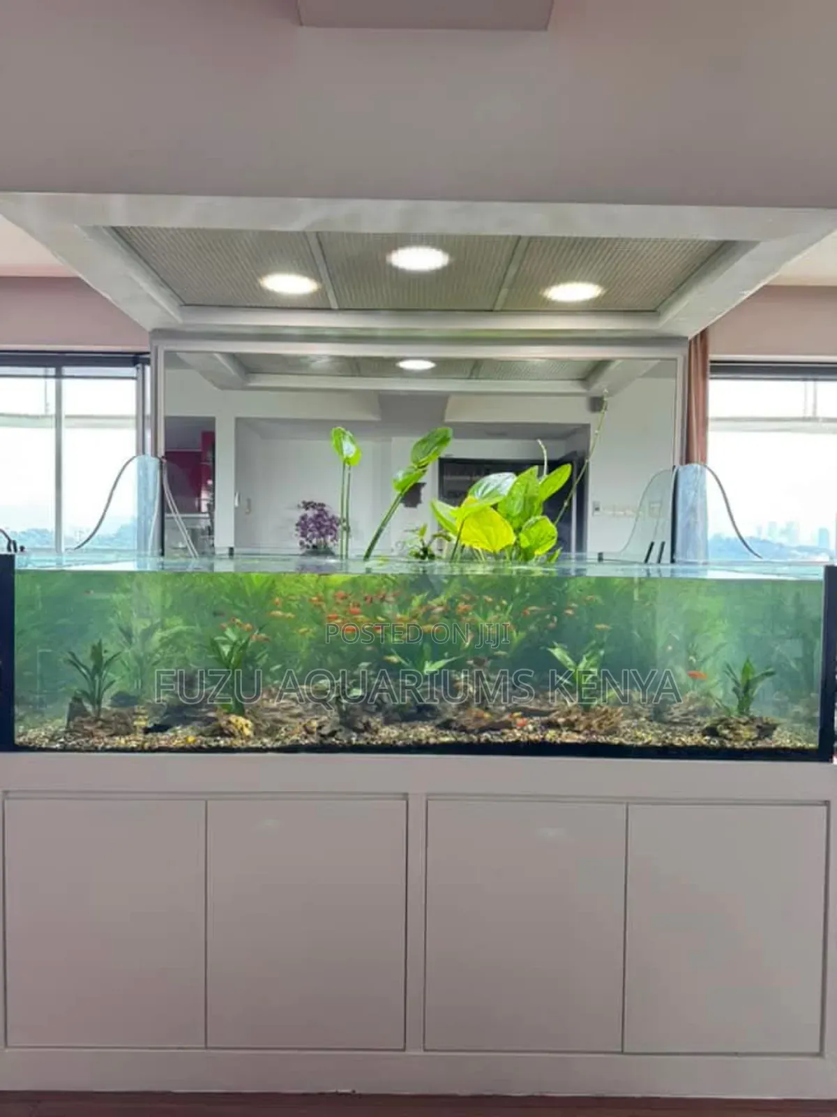 Long Live Planted Natural Aquarium