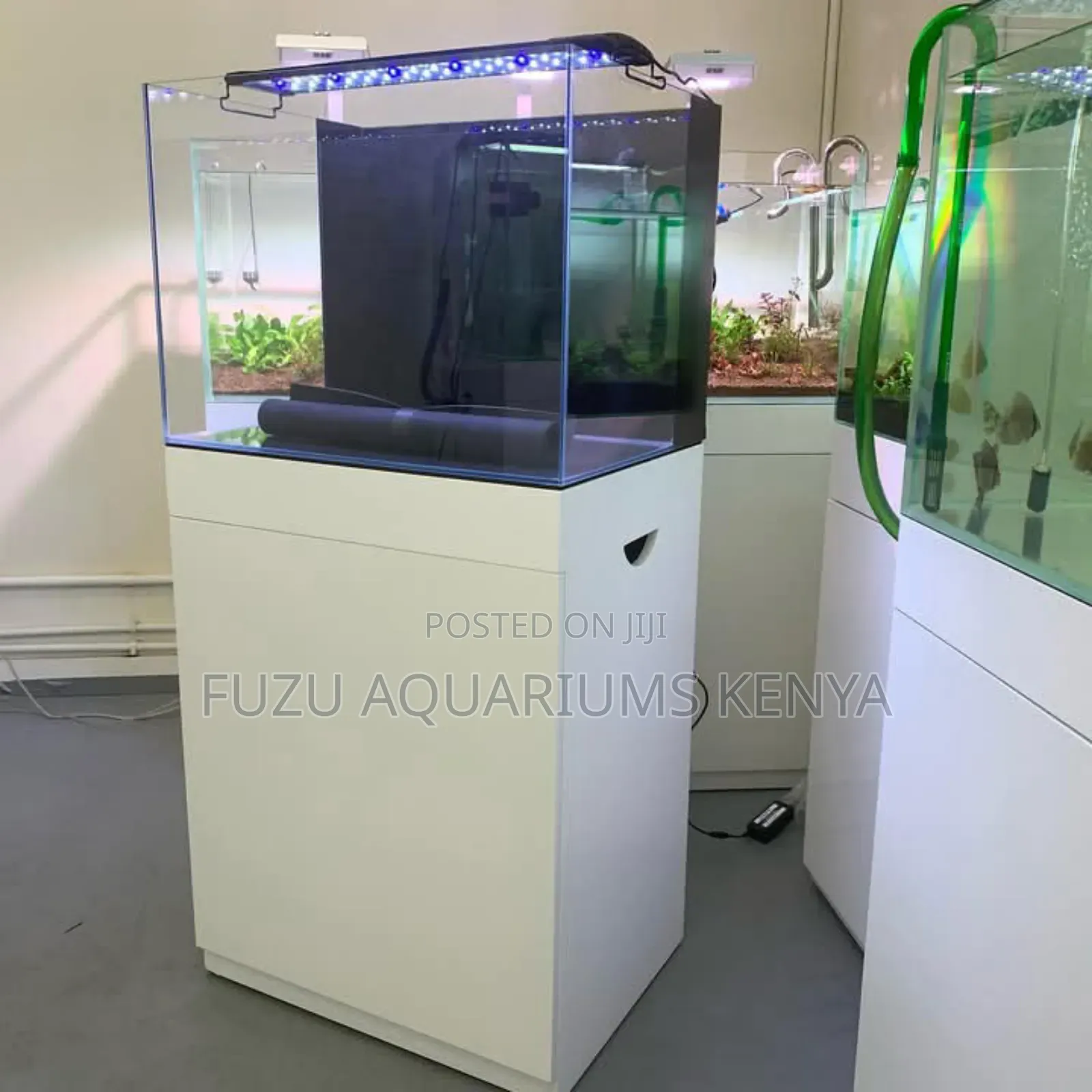 Stylish White Aquarium Complete
