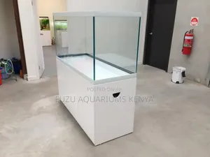 Superb Aquarium, White Color Theme