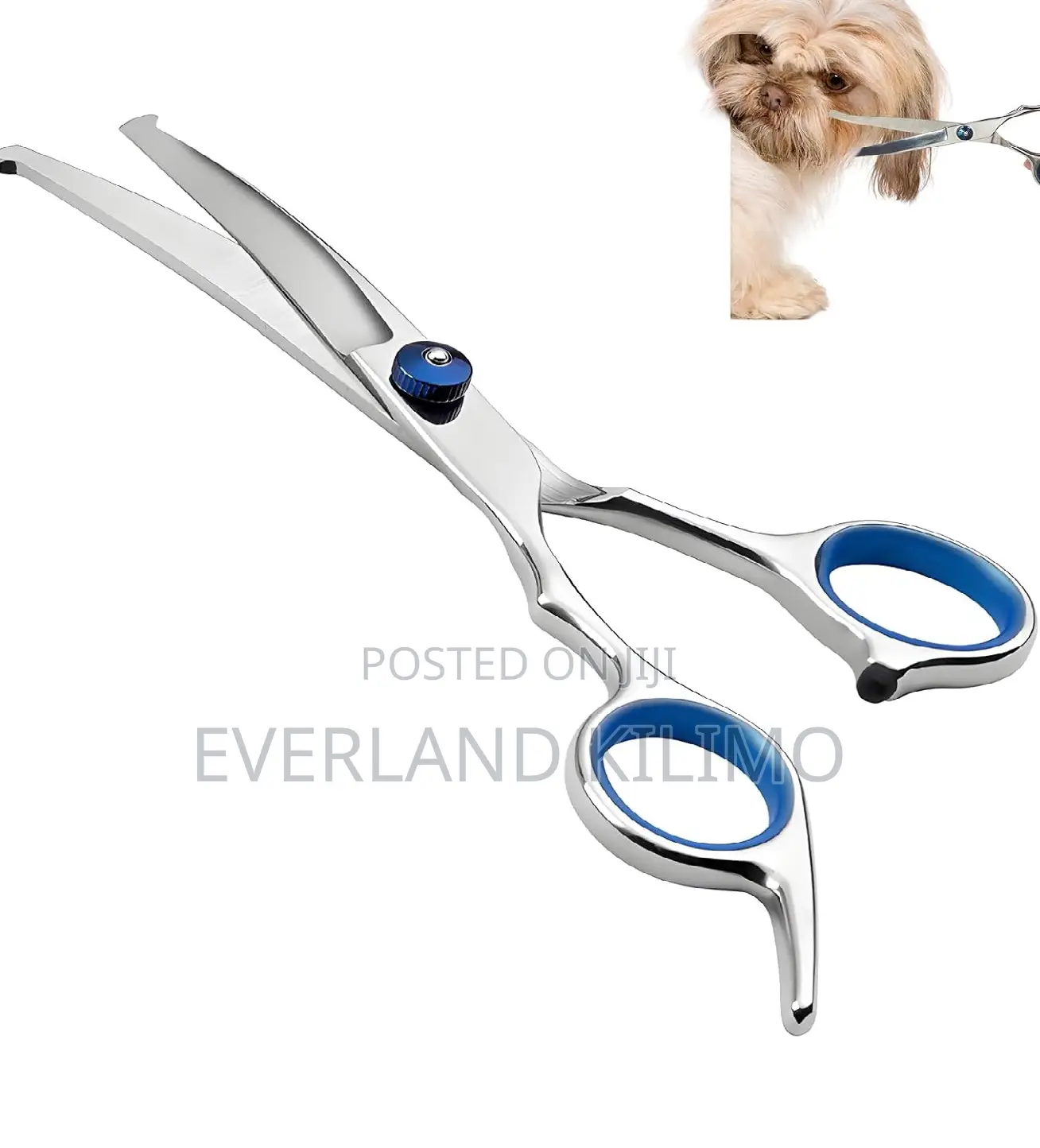 Curved Grooming Scissors_dogs