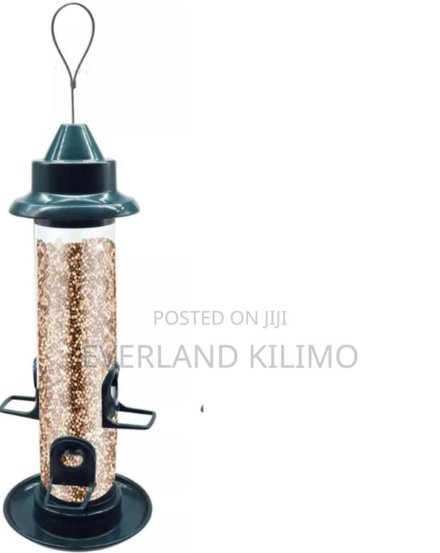 Bird Feeder - main view