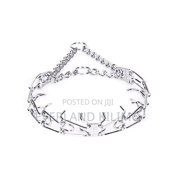 Durable Prong Collars- Medium - main view