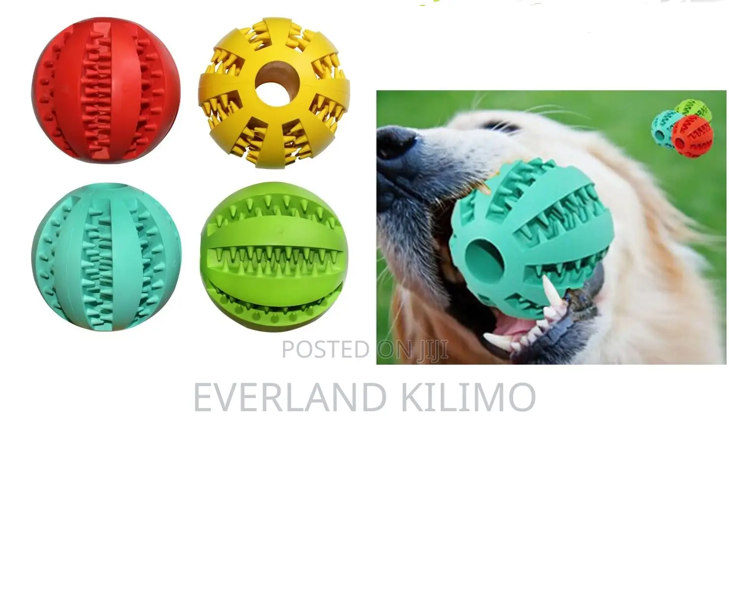 Durable Colourful Treat Ball