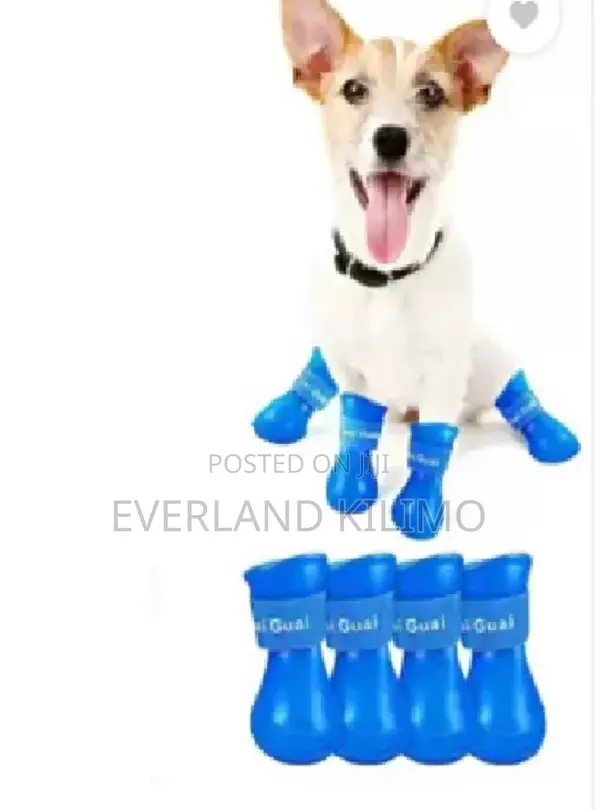 Ideal Dog Shoes- Large