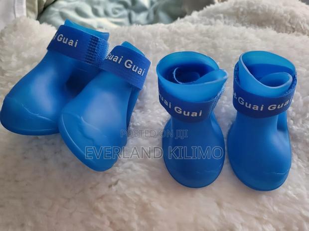 Dog Shoes - Medium - main view