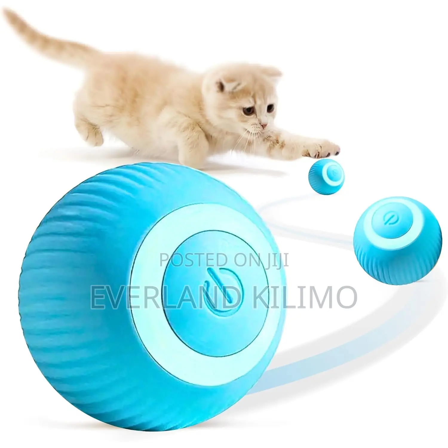Interactive Ball Toy for Cats and Dogs