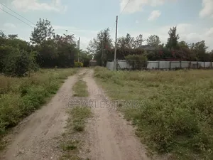 Prime 1/4 Plot in Milimani