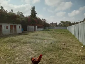 Prime 1/4 Plot in Milimani