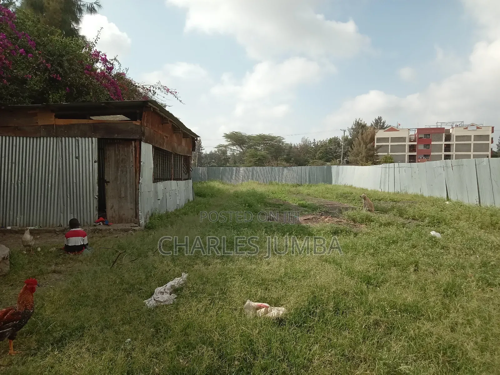 Prime 1/4 Plot in Milimani