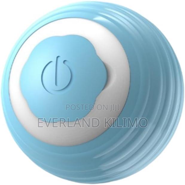 Imported Interactive Pet Ball Toy - main view