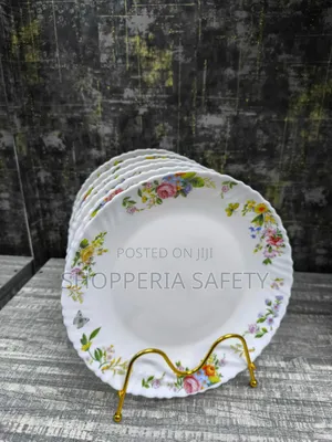 10.5 Inch Dinner Plate- White