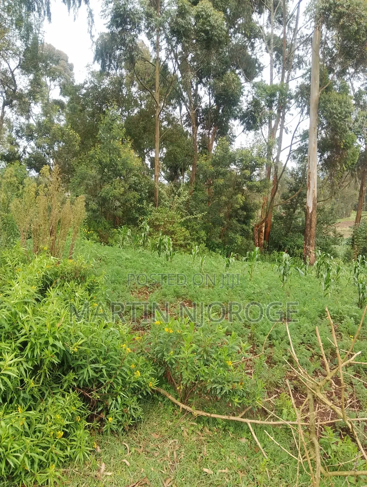 5 Acres Mwendandu