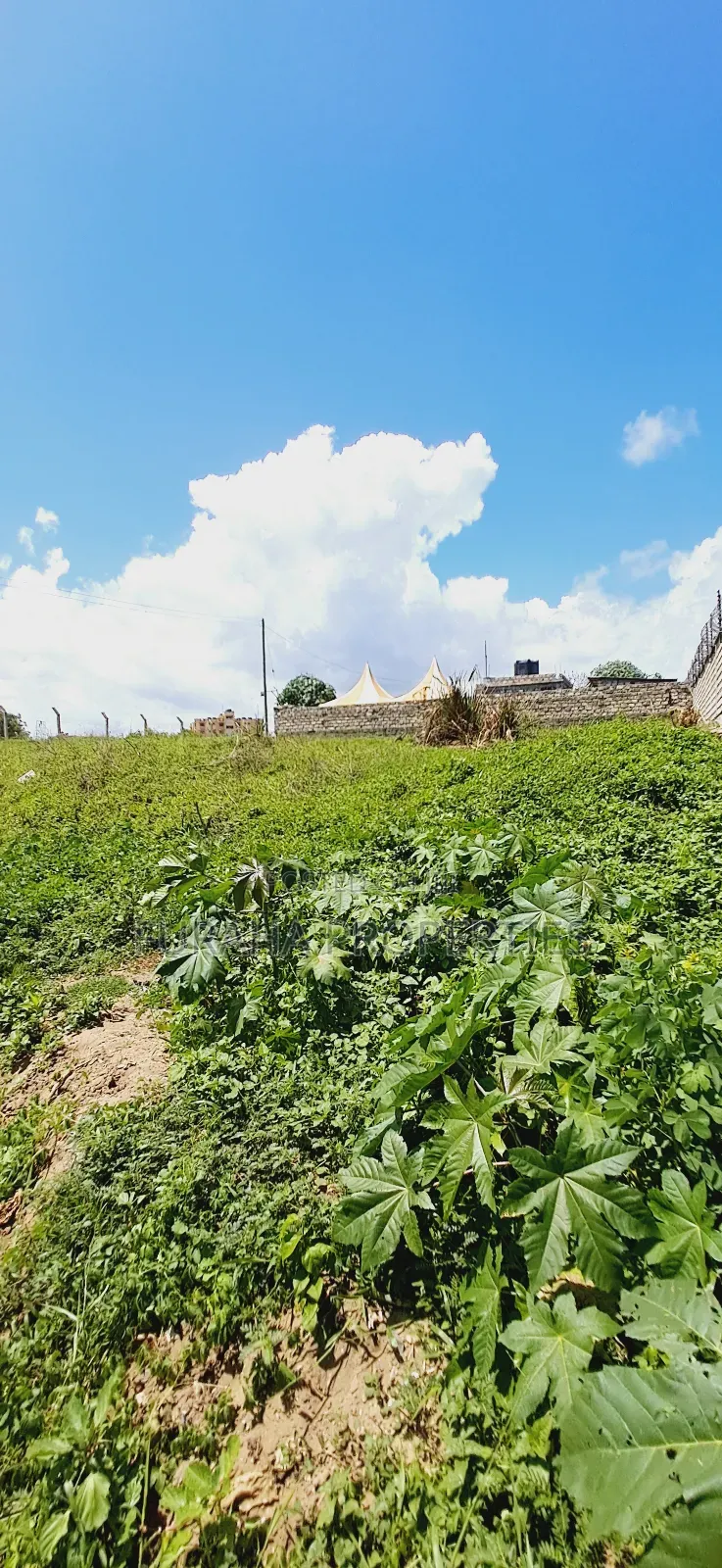 For Sale 2 Plots Mtwapa