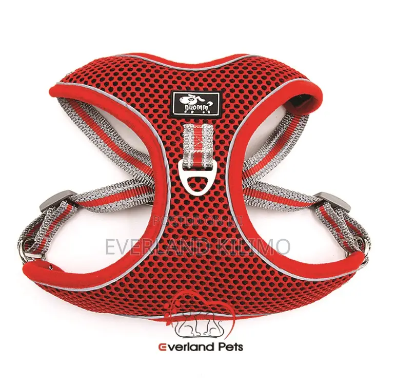 Vest +Harness - Large