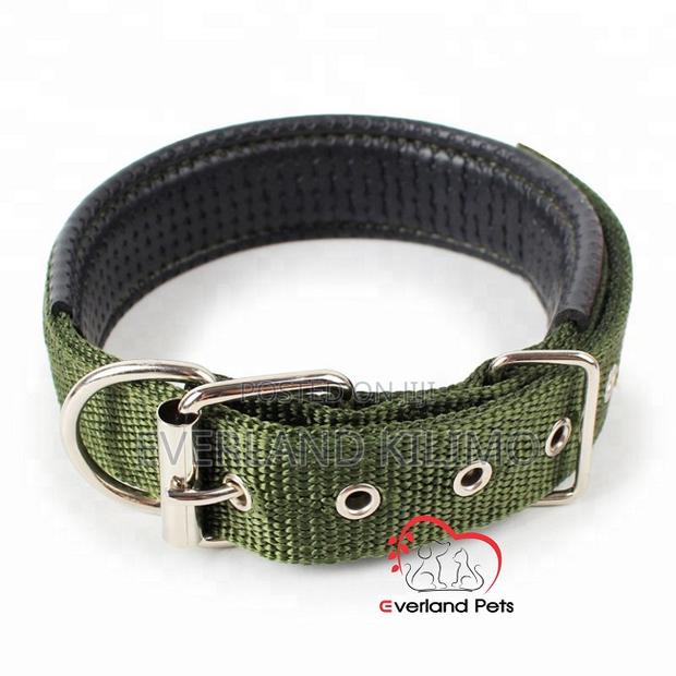 Premium Canvas Collar - main view