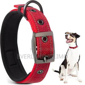 High-End Canvas Collar