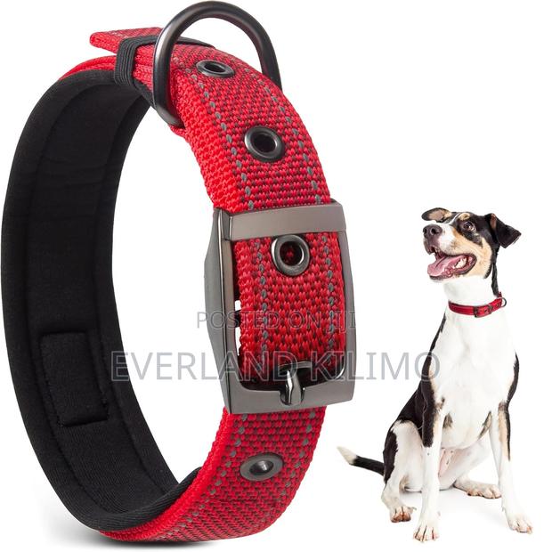 High-End Canvas Collar - main view