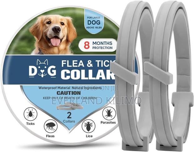 Modern Flea Collar for Dogs - main view