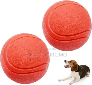 Classic Fetch Ball for Dogs