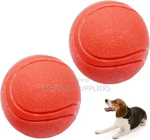 Classic Fetch Ball for Dogs