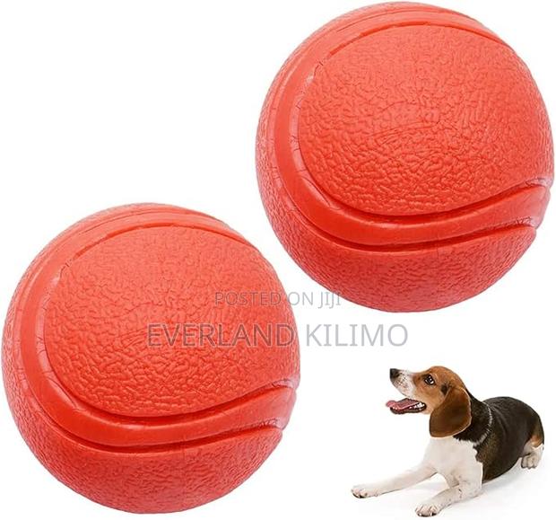 Classic Fetch Ball for Dogs - main view