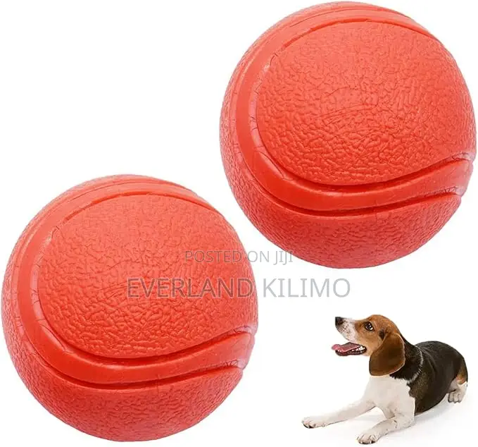 Classic Fetch Ball for Dogs