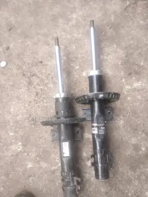 Pollo 2011 Front Shocks