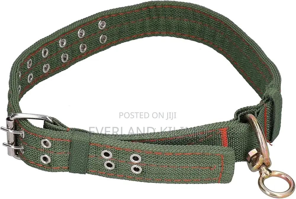 Canvas Double Holed Collar