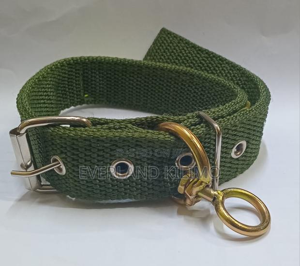 Dog Collar - main view