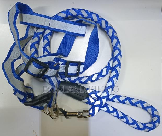 Reflective Leash Harness - main view