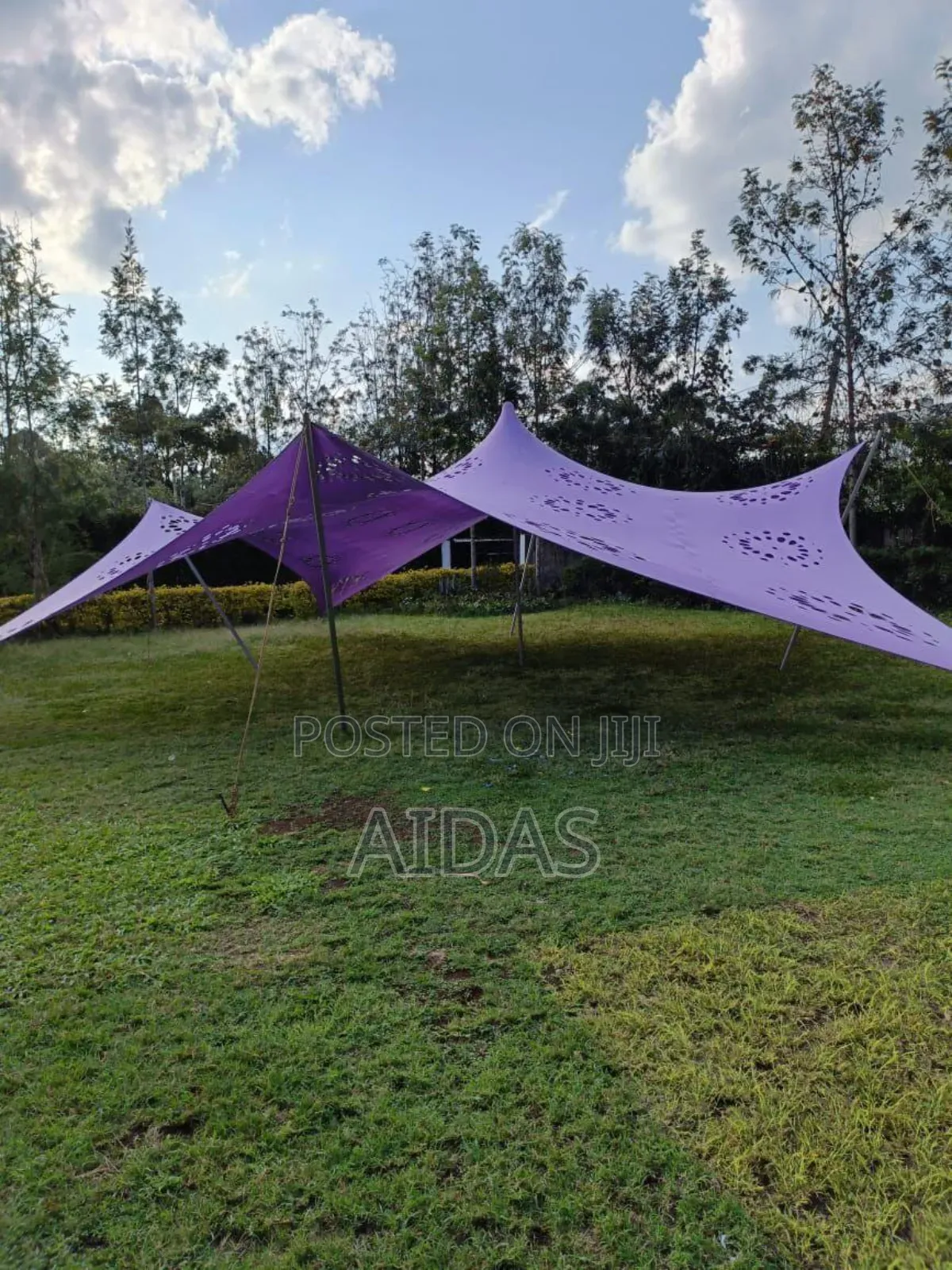 Cheese Tent Rental