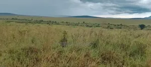 Land for Sale at Narok(Ololunga Area)