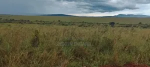 Land for Sale at Narok(Ololunga Area)