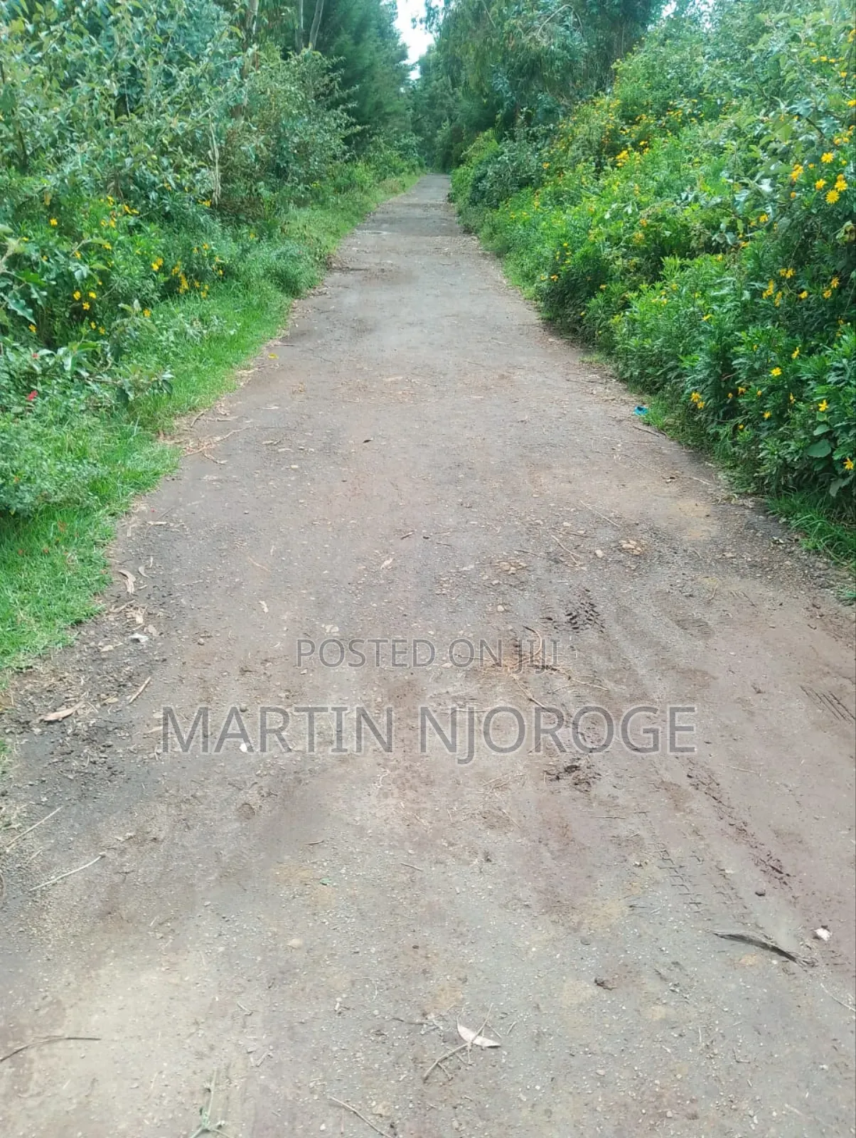 5 Acres Mwendandu