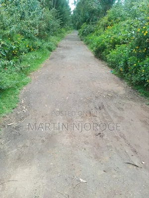 5 Acres Mwendandu