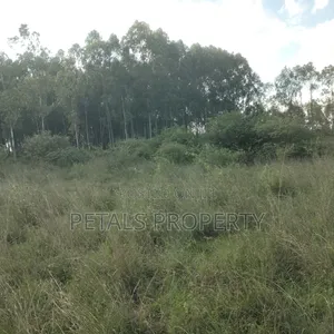 1/4 Plot for Sale in Nazarene