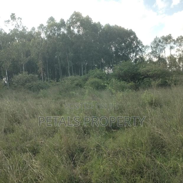 1/4 Plot for Sale in Nazarene - thumbnail 2