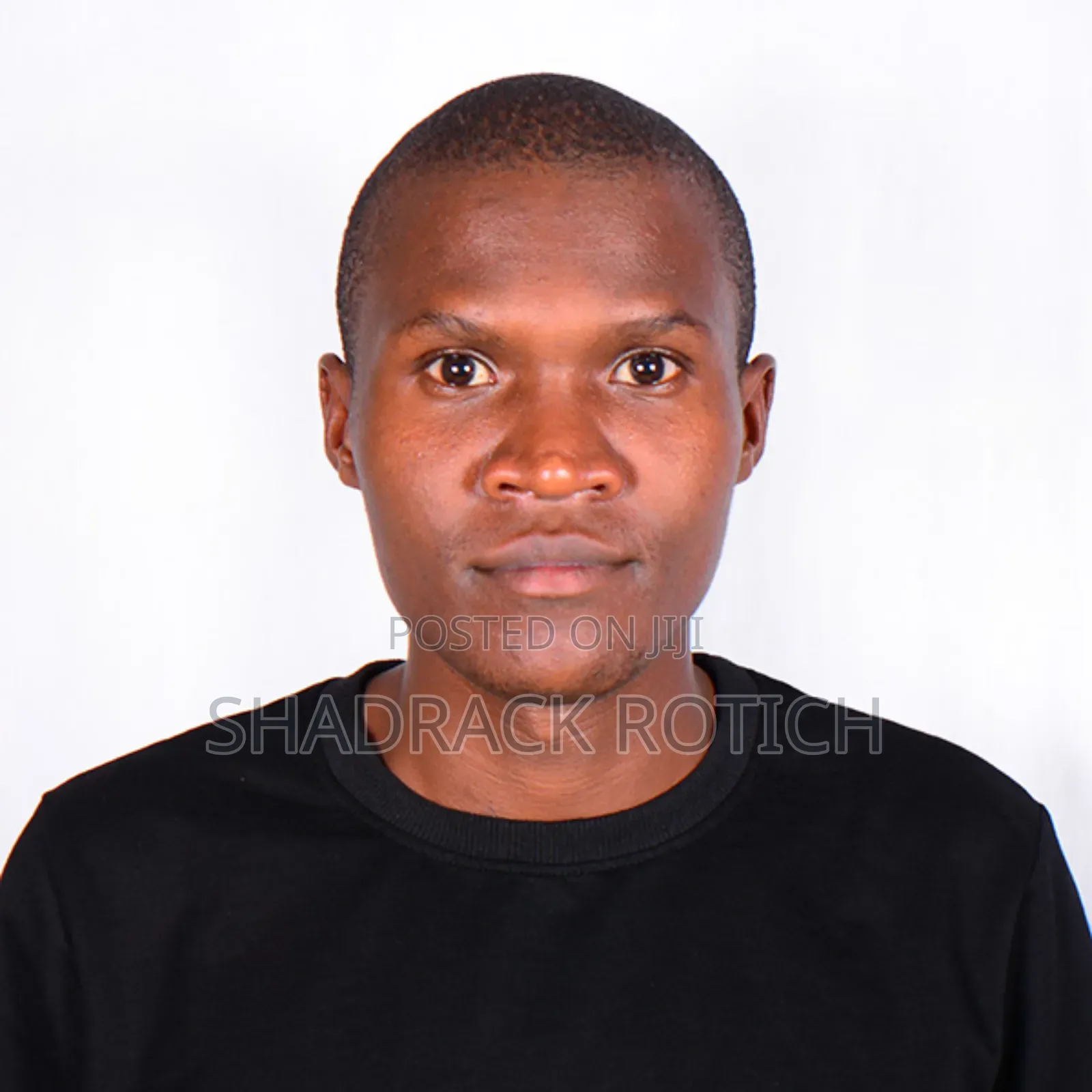 Sales Agent, CV Application