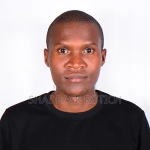 Sales Agent, CV Application