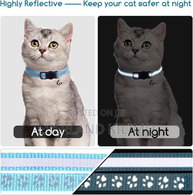 Reflective Cat Collar With Bell - main view