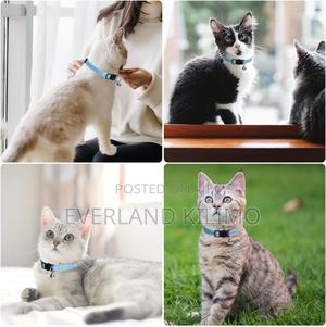 Breakaway Cat Collars - thumbnail 2