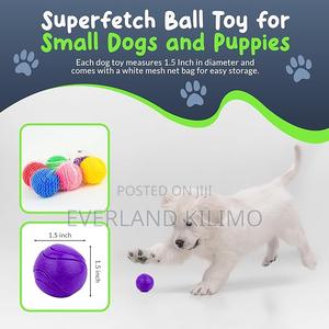 Rubber Balls for Fetch and Training - thumbnail 2