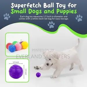 Rubber Balls for Fetch and Training
