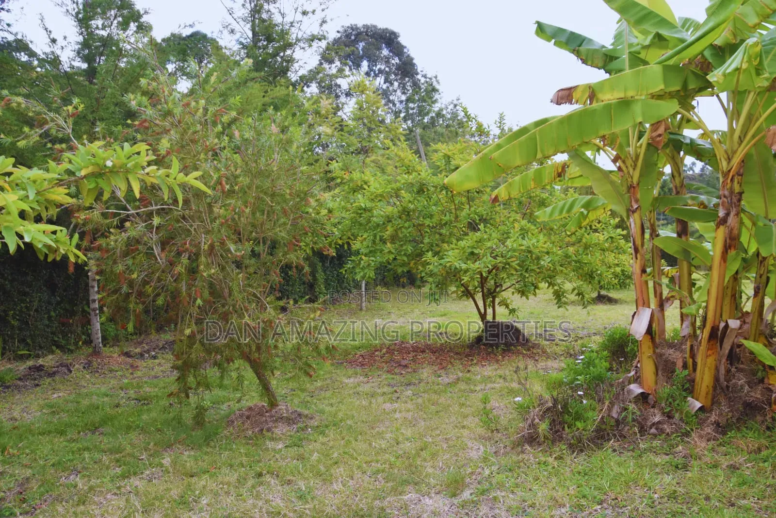 Airbnb Kiserian for Short and Camping Stays Available