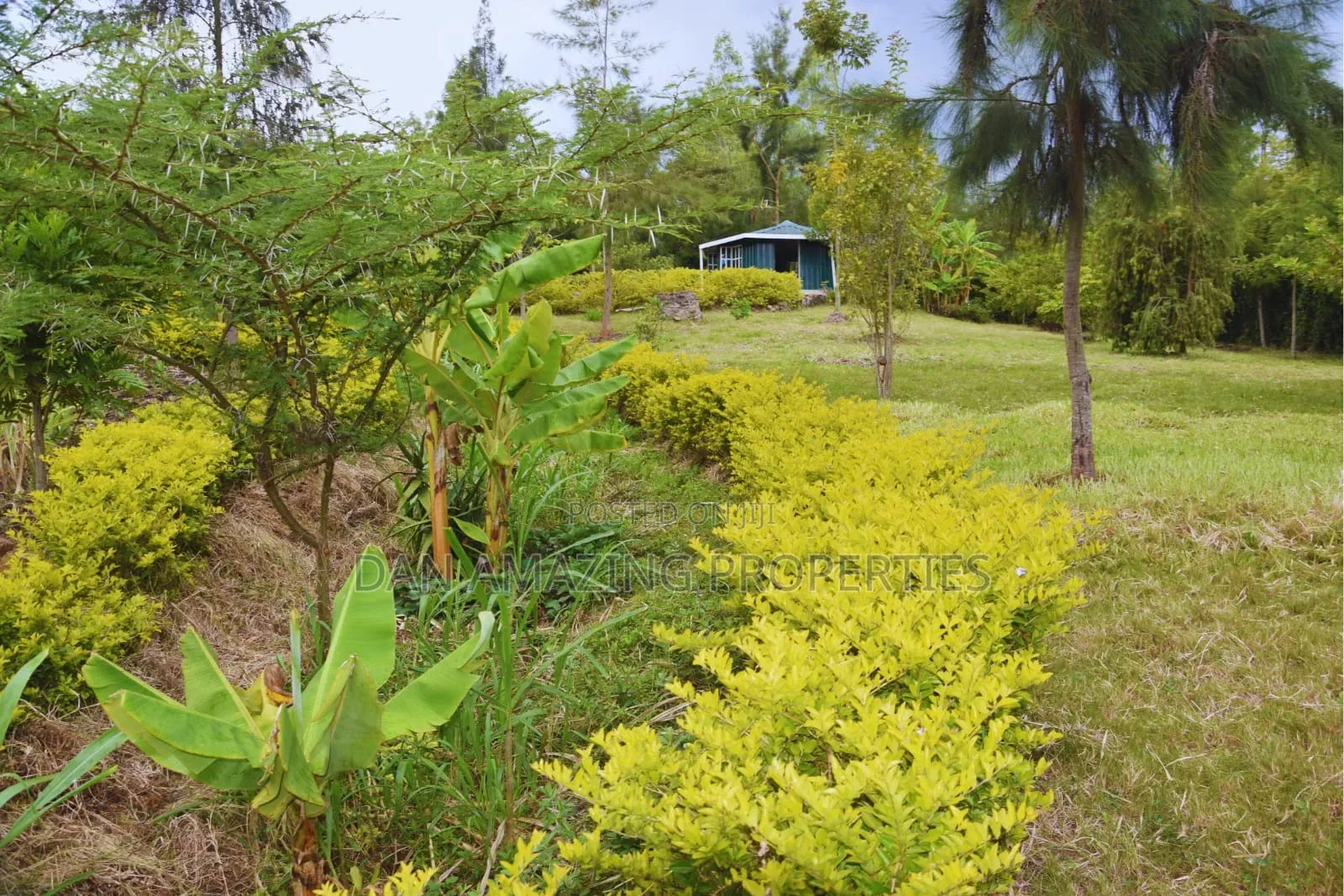 Airbnb Kiserian for Short and Camping Stays Available