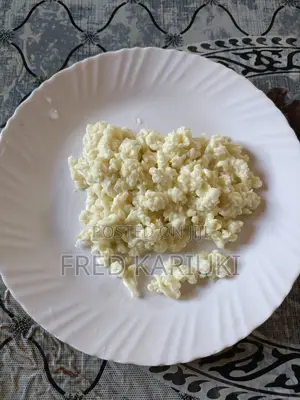Kefir Grains