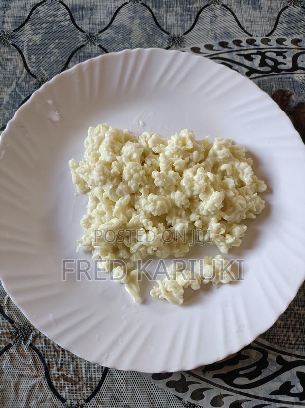 Kefir Grains - main view