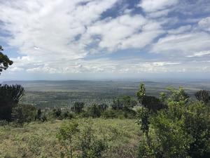 Iconic 1 Acre 1/2 Mua Hill - thumbnail 2