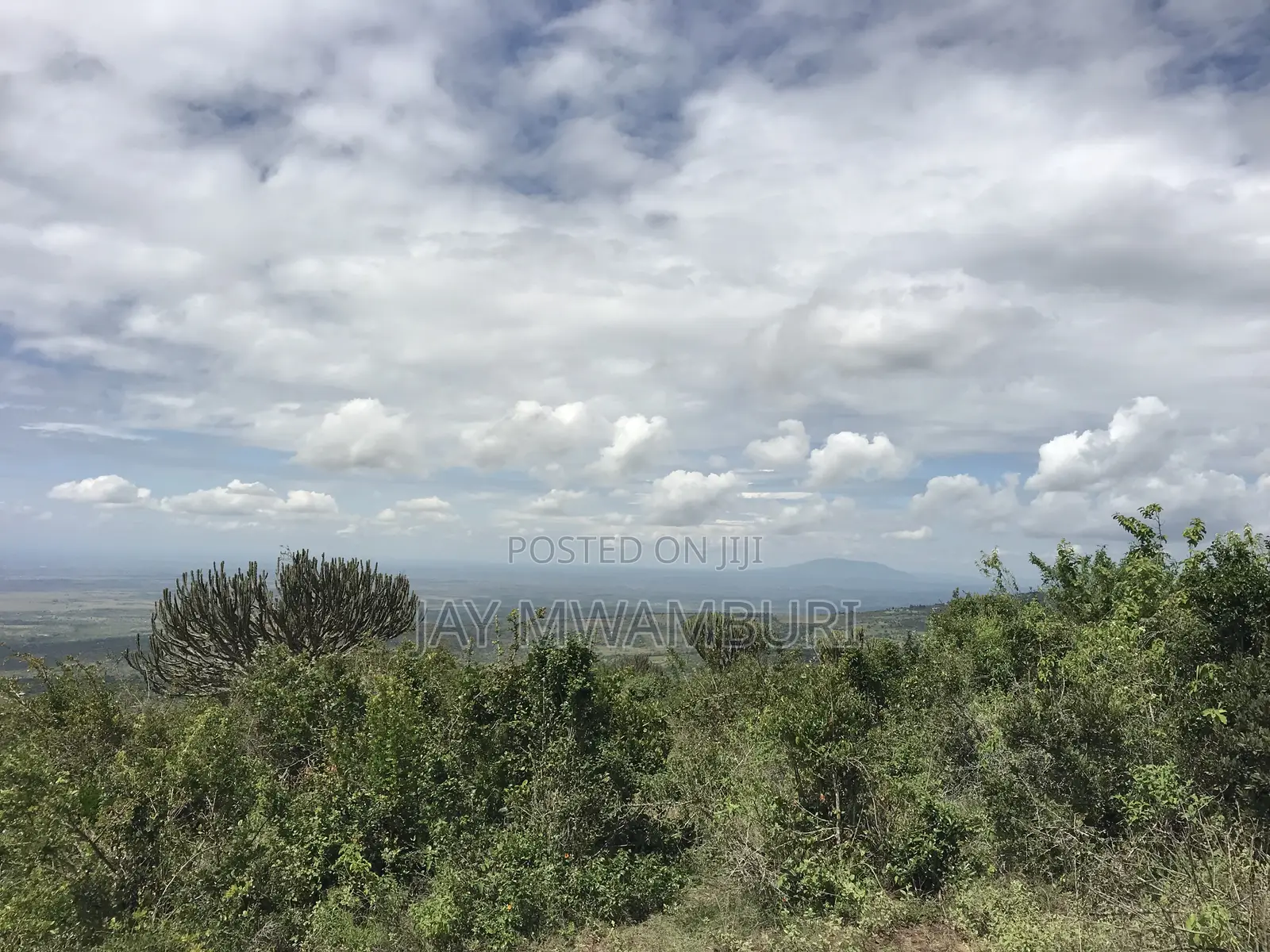 Iconic 1 Acre 1/2 Mua Hill